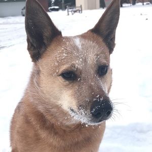 Meet your Posher, Jordan